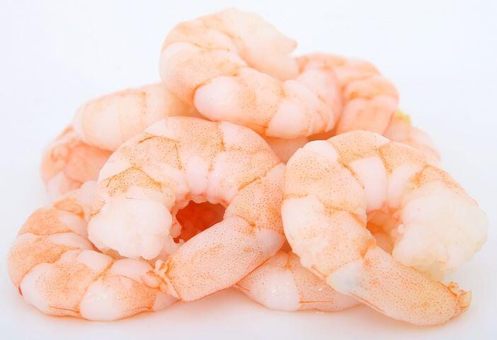 prawns 1239307  480