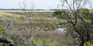 karaaf wetlands