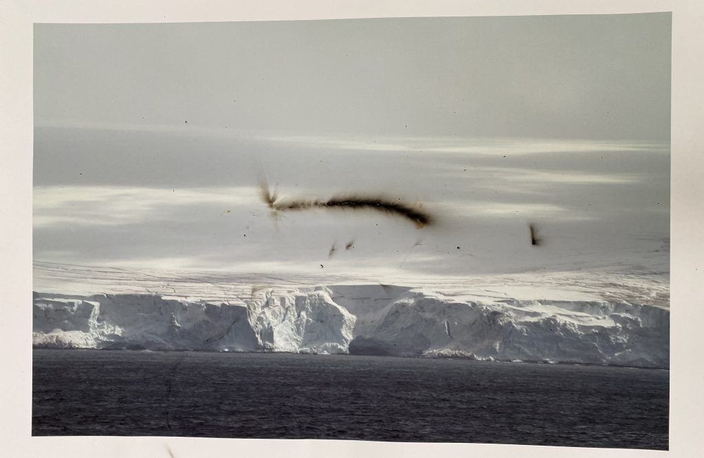 Single Burn Ice Shelf 1024x667 1