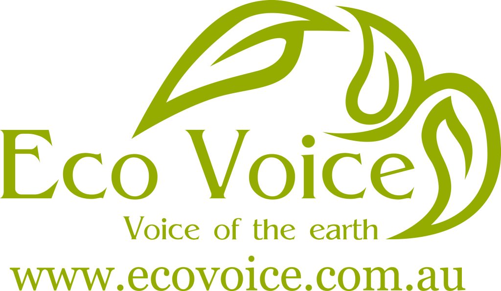 Eco Voice logo 1024x596 20