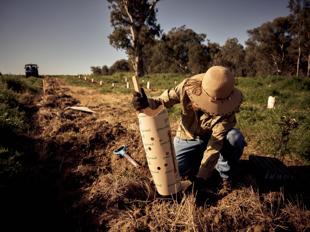 COUNTRY ROAD LANDCARE SOCIAL 01 0435 1024x768 1