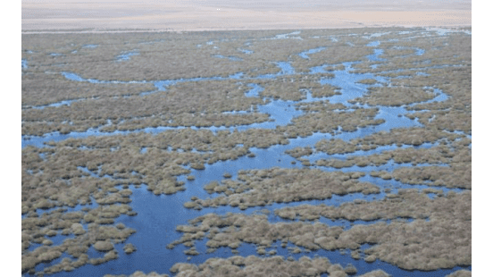 Lowbidgee wetlands